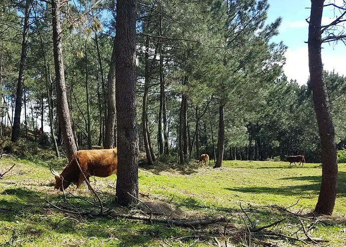 Lejlighed Fonte De Ons